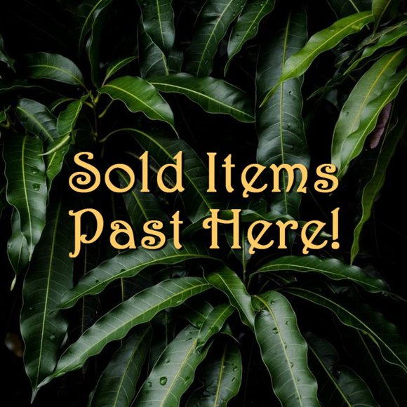 Sold Items Past Here! - Picture 1 of 1